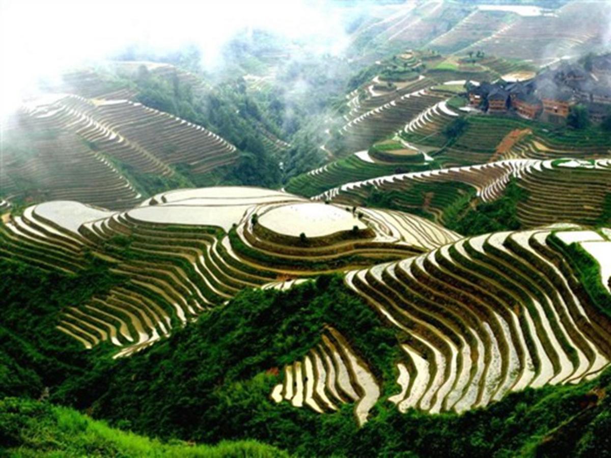 龙胜馨嘉源饭店 Villa Buitenkant foto